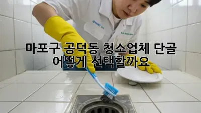 마포구 공덕동 청소업체 단골, 어떻게 선택할까요?