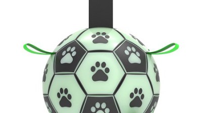 멍멍이 밤 산책 필수템! 애견야광볼 솔직 후기🐾 (득템 찬스!)